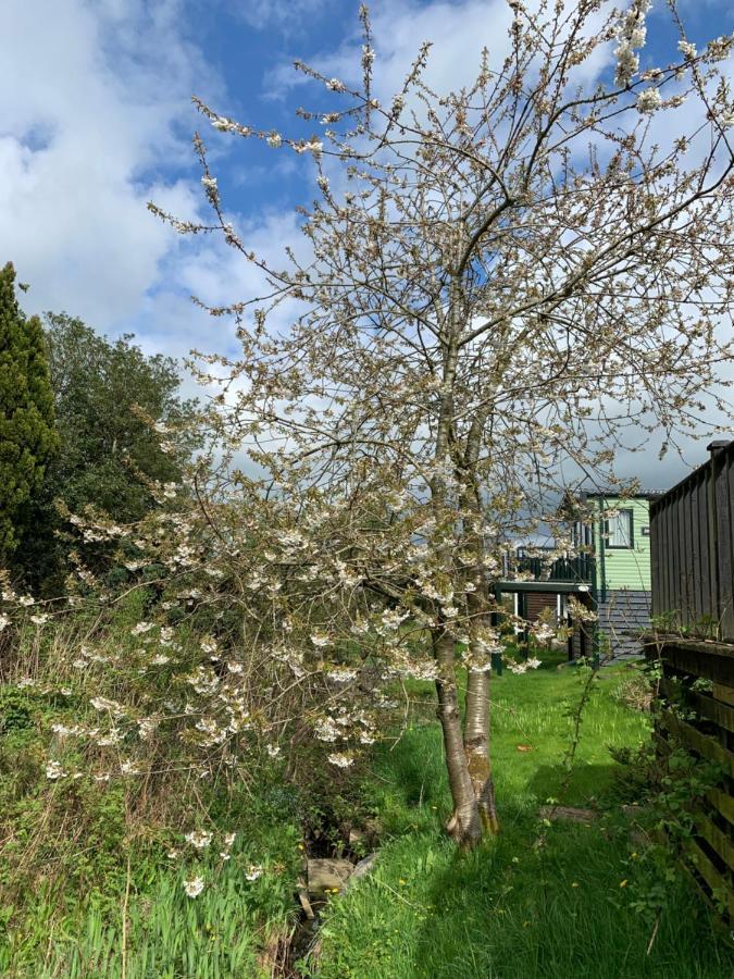 Delightful 3 Bedroom Holiday Home With Balcony Overlooking Fields And A Stream Гісберн Екстер'єр фото